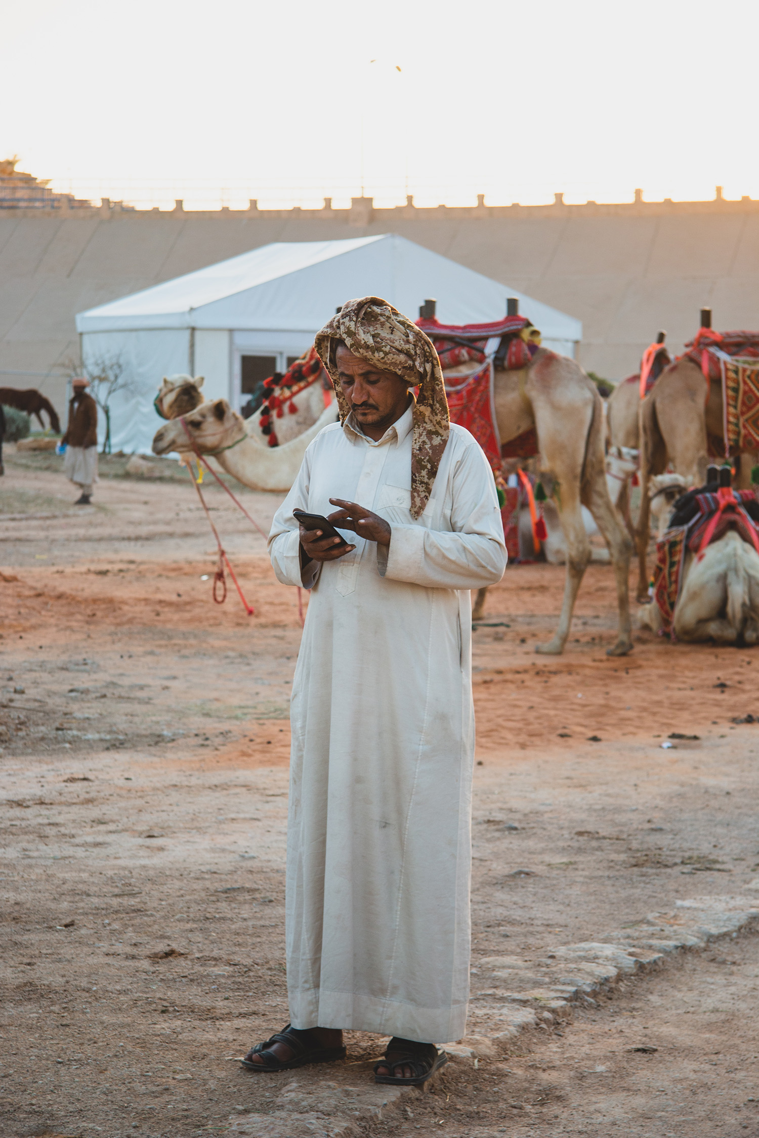 właściciel wielbłądów i koni