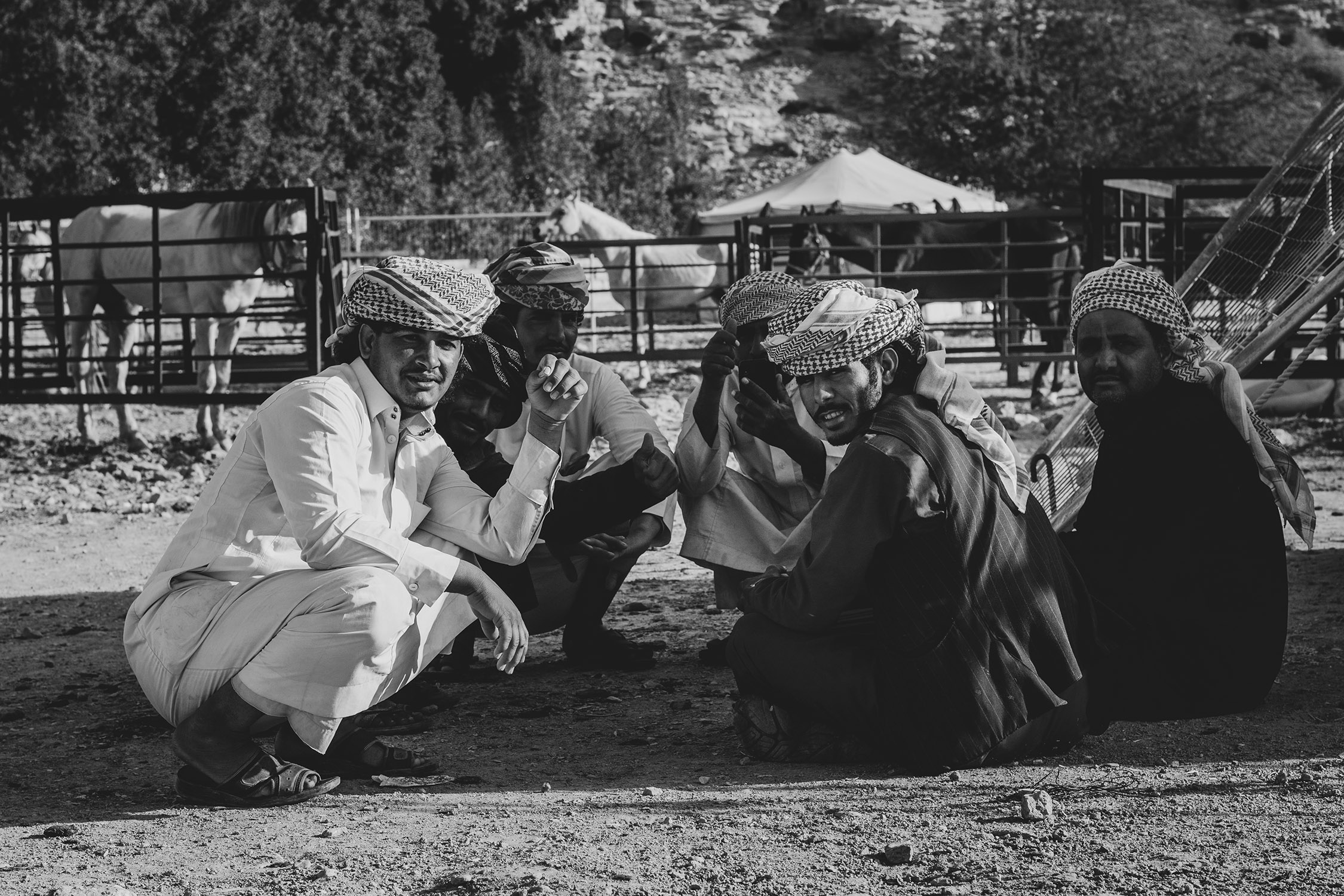 właściciele koni i wielbłądów w arabii