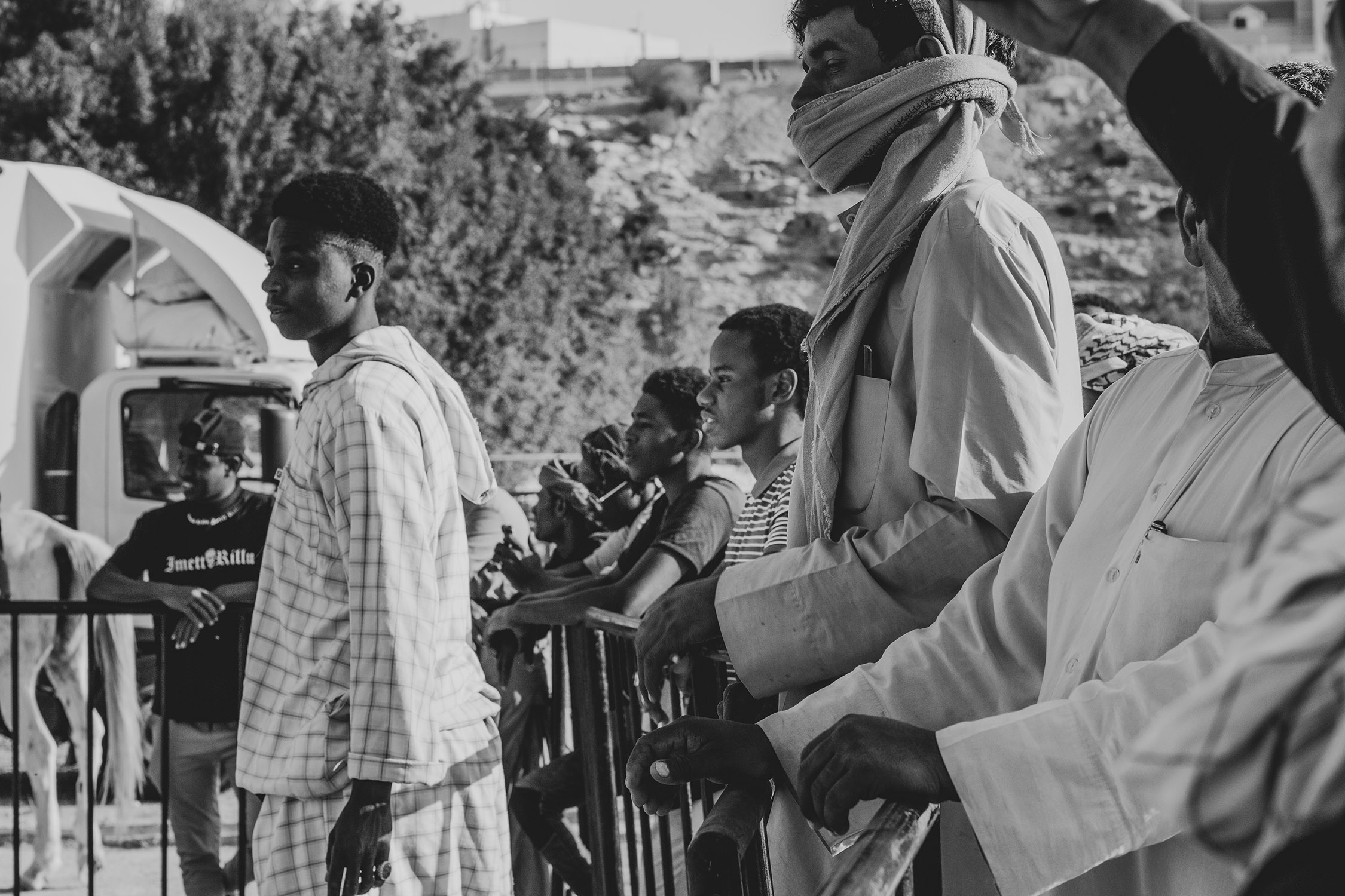 publiczność treningów konnych